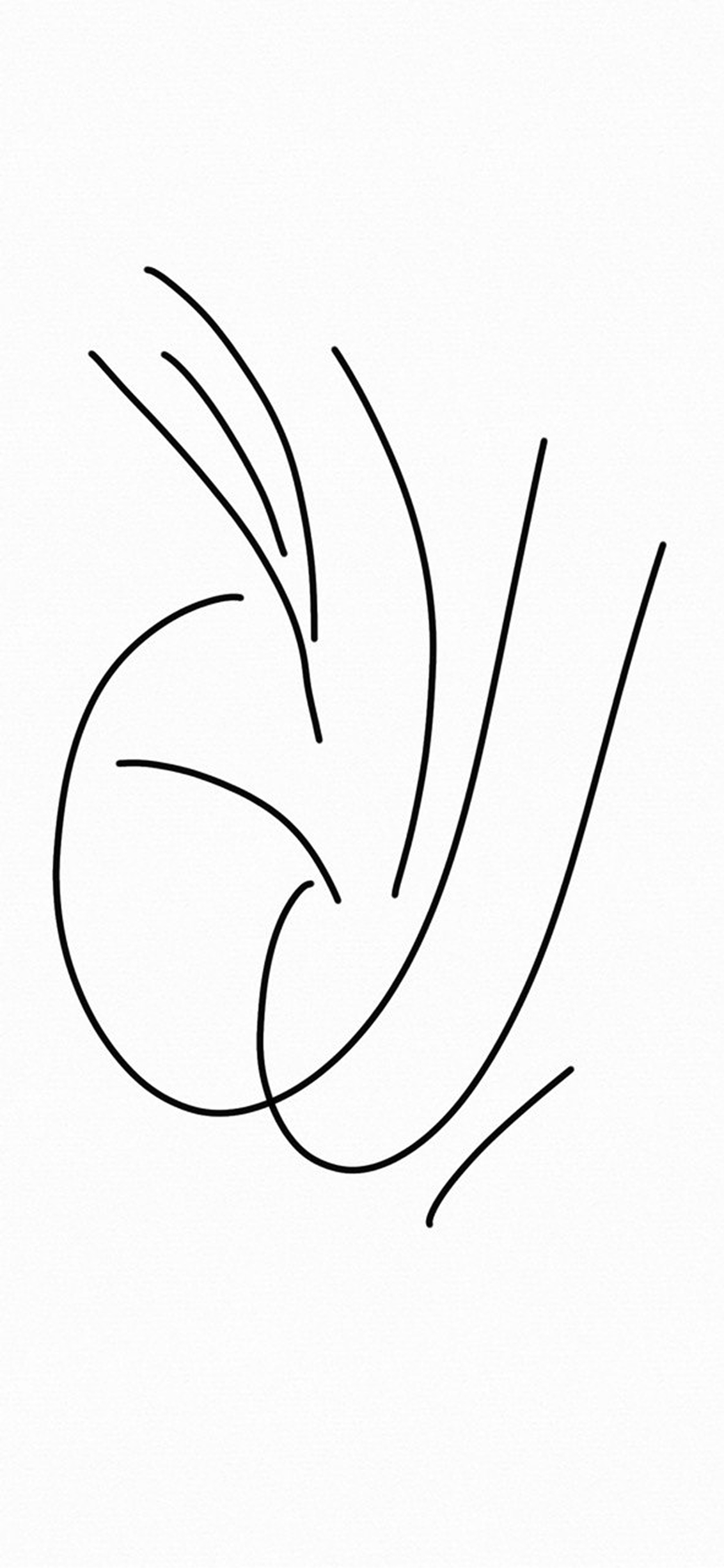 Photo_2026-03-15 -50w